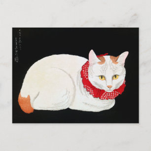 Japanese Bobtail Cat, Shotei Postcard