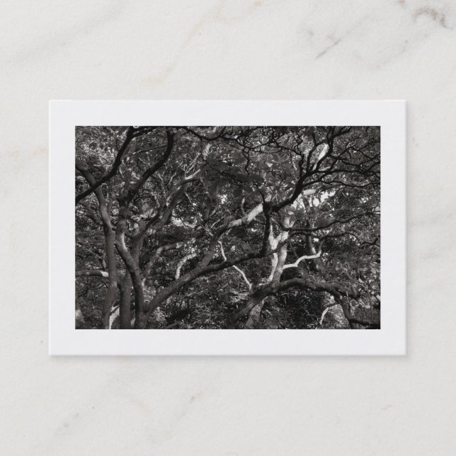 Japanese Branches 03 (Bordered) Business Card (Front)