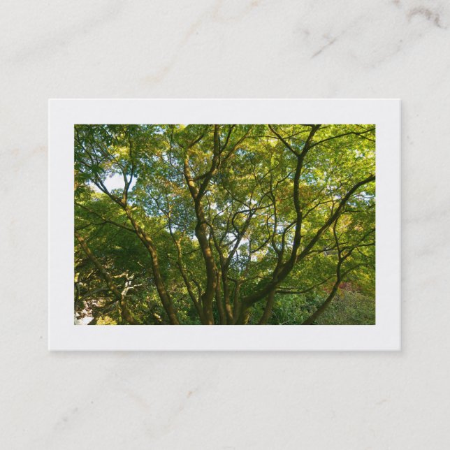 Japanese Branches 06 (Bordered) Business Card (Front)