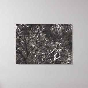 Japanese Branches Canvas Print