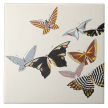 Japanese Butterfly TC22-04