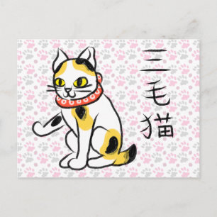 Japanese Calico Cat Postcard