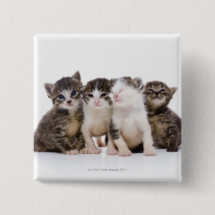 Japanese cat 2 inch square button