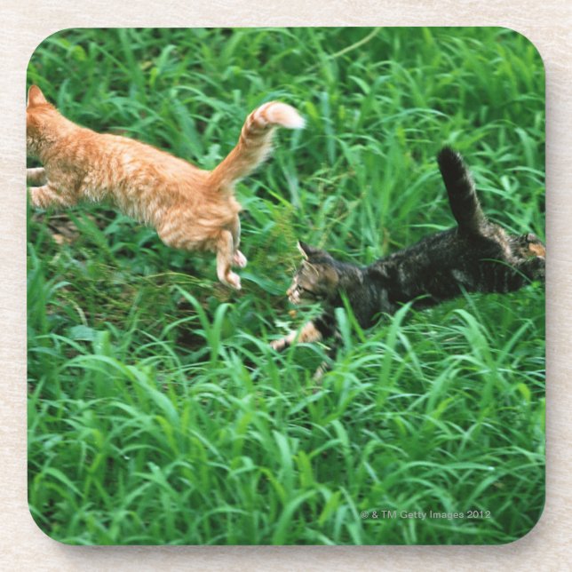 Japanese Cat 3 Coaster (Front)