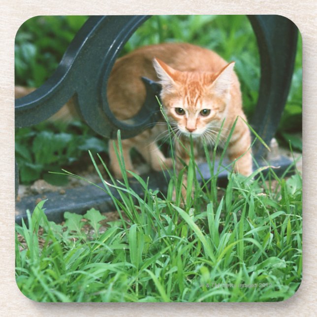 Japanese Cat 3 Coaster (Front)