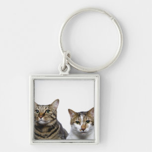 Japanese cat and Manx cat on white background Keychain
