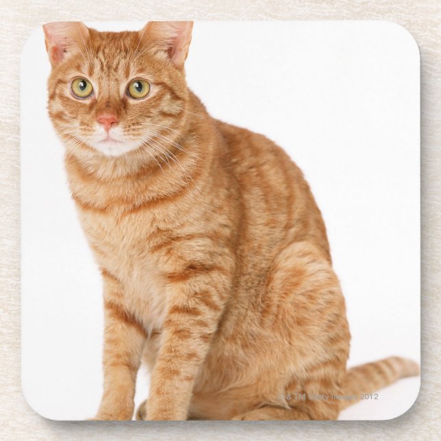 Japanese Cat Coaster (Front)