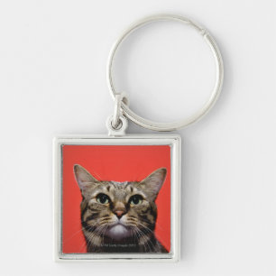 Japanese cat looking up keychain