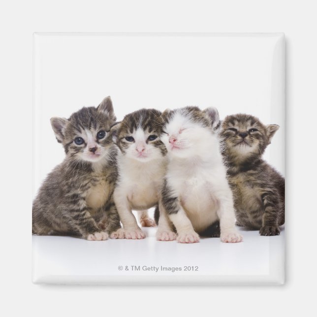 Japanese cat magnet (Front)