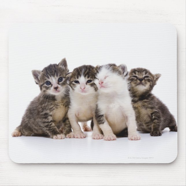 Japanese cat mouse pad (Front)