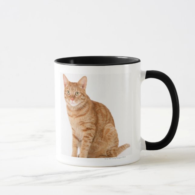 Japanese Cat Mug (Right)