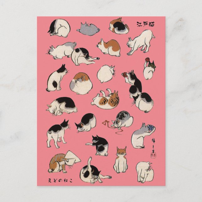 Japanese Cats, Hiroshige, Ukiyo-e Postcard (Front)