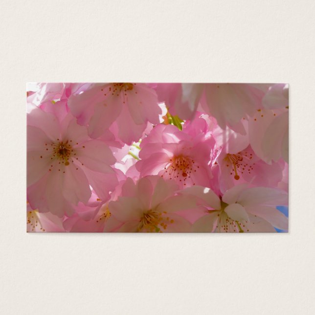 Japanese Cherry Blossom (Front)