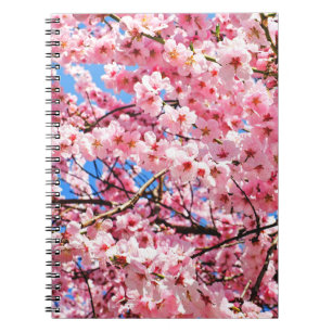 Japanese Cherry Blossoms  Notebook