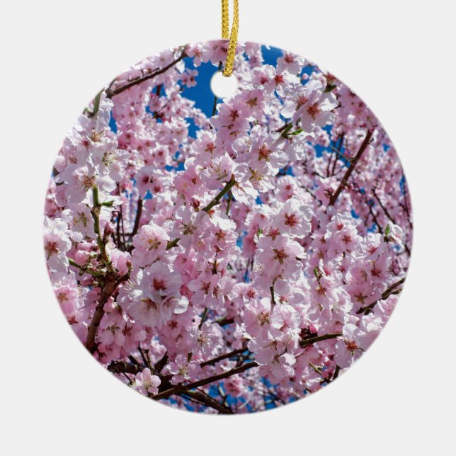 Japanese cherry Flower Ceramic Ornament (Front)