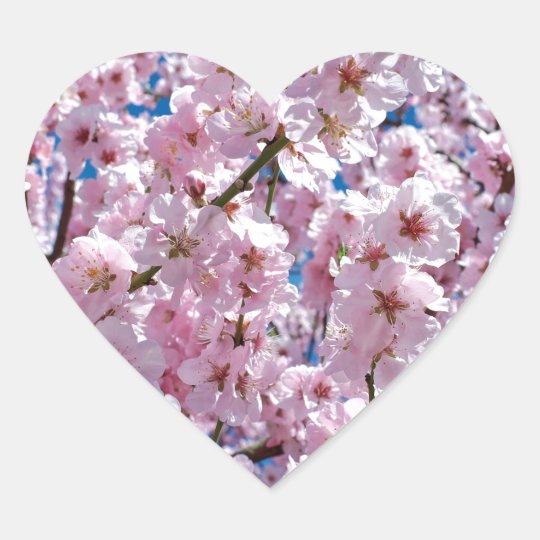 Japanese cherry Flower Heart Sticker