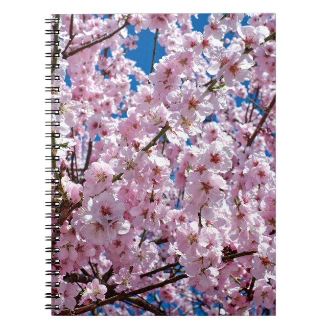 Japanese cherry Flower Notebook (Front)
