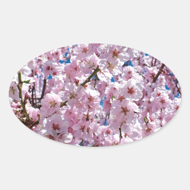 Japanese cherry Flower Oval Sticker (Front)