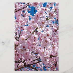 Japanese cherry Flower Stationery