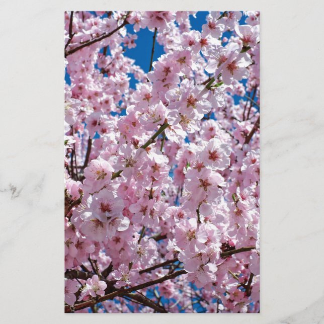 Japanese cherry Flower Stationery (Front)