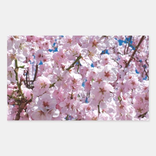 Japanese cherry Flower Sticker