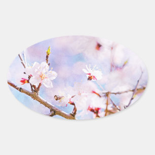 Japanese Cherry - Sakura In Bloom Oval Sticker