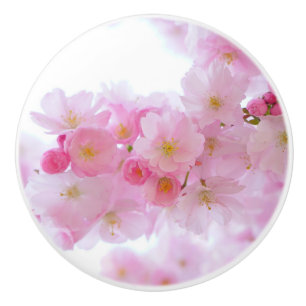 Japanese Cherry Tree Blossom Ceramic Knob