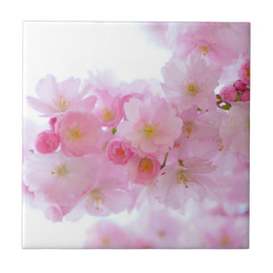Japanese Cherry Tree Blossom Tile