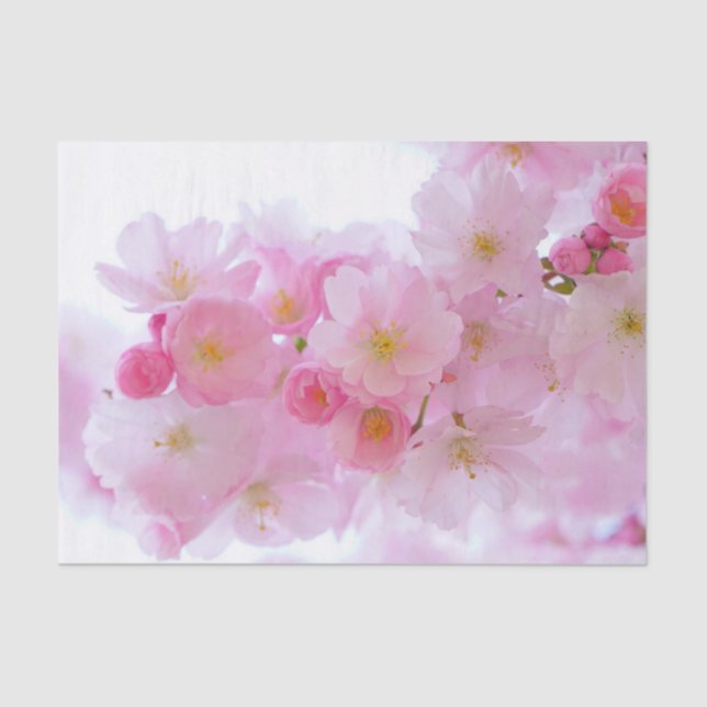 Japanese Cherry Tree Blossom Tissue Paper (Front)