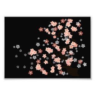 Japanese Cherry Tree Blossoms Photo Print