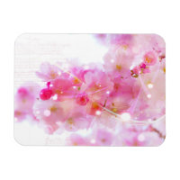 Japanese Cherry Tree with Pastel Pink Blossoms