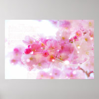 Japanese Cherry Tree with Pastel Pink Blossoms