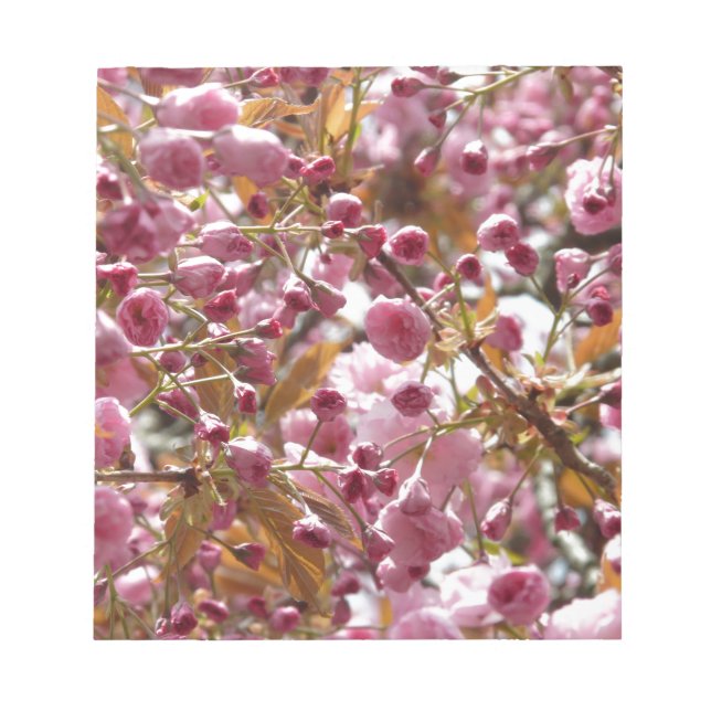 Japanese Cherry Trees Notepad (Front)