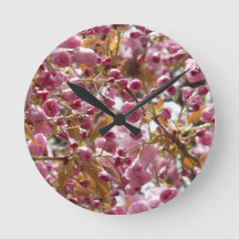 Japanese Cherry Trees