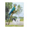 Japanese Chin and Macaw