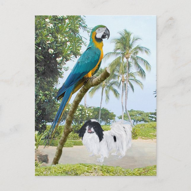 Japanese Chin and Macaw Postcard (Front)