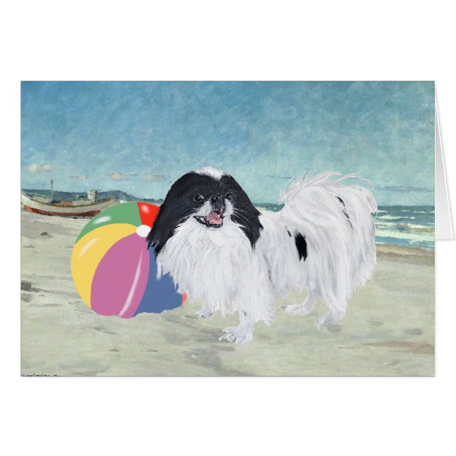 Japanese Chin Beach Ball (Front Horizontal)