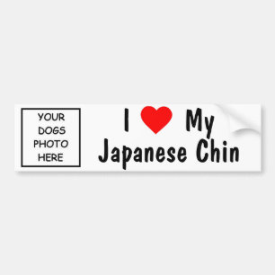 Japanese Chin Bumper Sticker