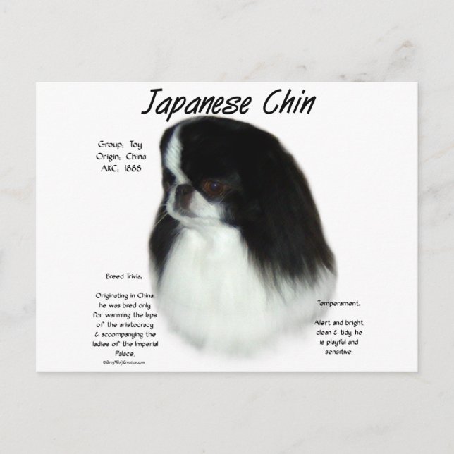 Japanese Chin History Design Postcard (Front)