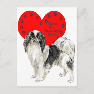 Japanese_Chin Postcard