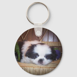 Japanese Chin Puppy Keychain