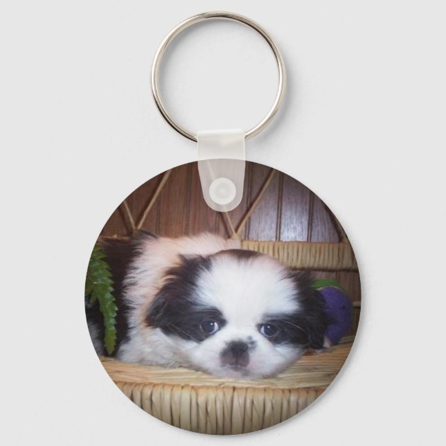 Japanese Chin Puppy Keychain (Front)