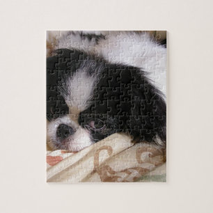 Japanese_chin puppy.png jigsaw puzzle