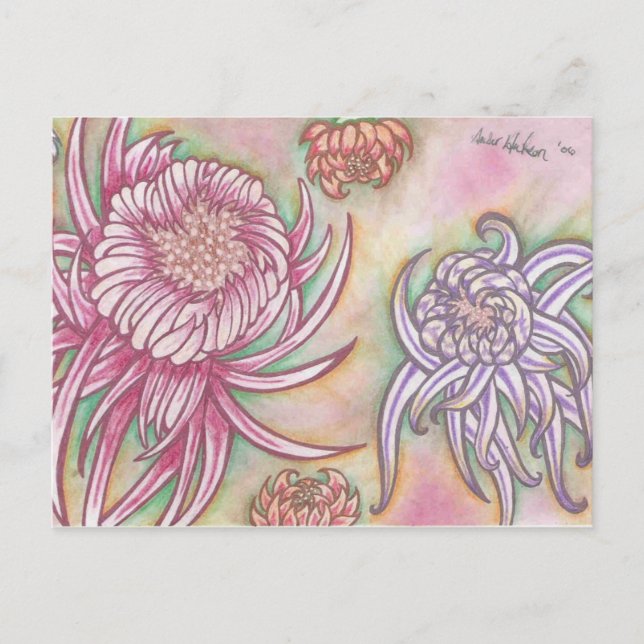 Japanese Chrysanthemums Postcard (Front)