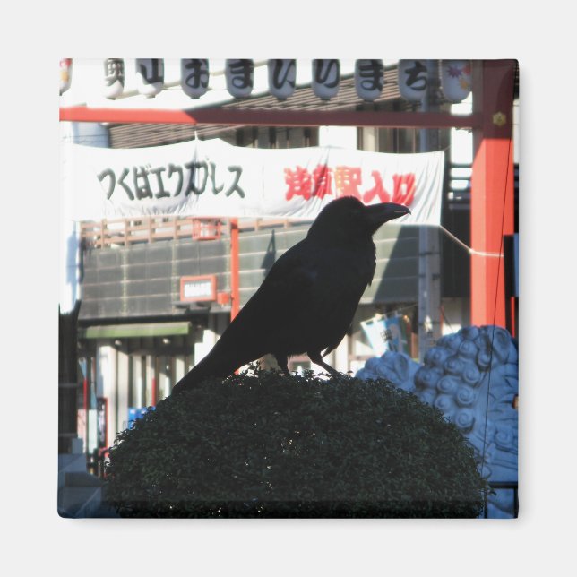 Japanese Crow Magnet (Front)