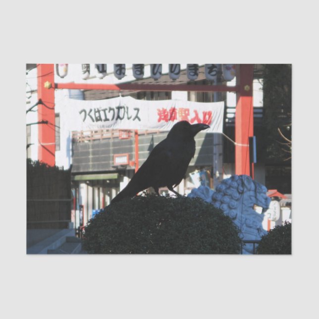 Japanese Crow Tissue Paper (Front)