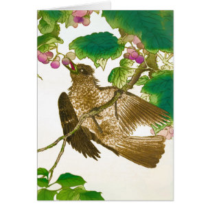 Japanese Drawing of Jay on a Grape Vine