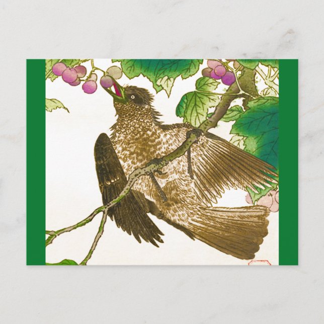 Japanese Drawing of Jay on a Grape Vine Postcard (Front)