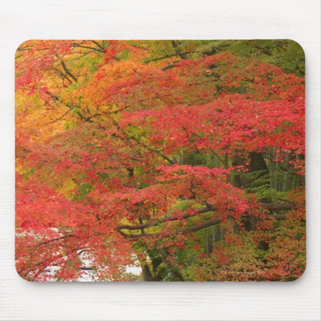 Japanese Fall Foliage Mouse Pad (Front)