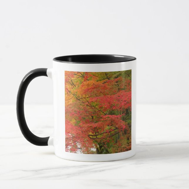 Japanese Fall Foliage Mug (Left)